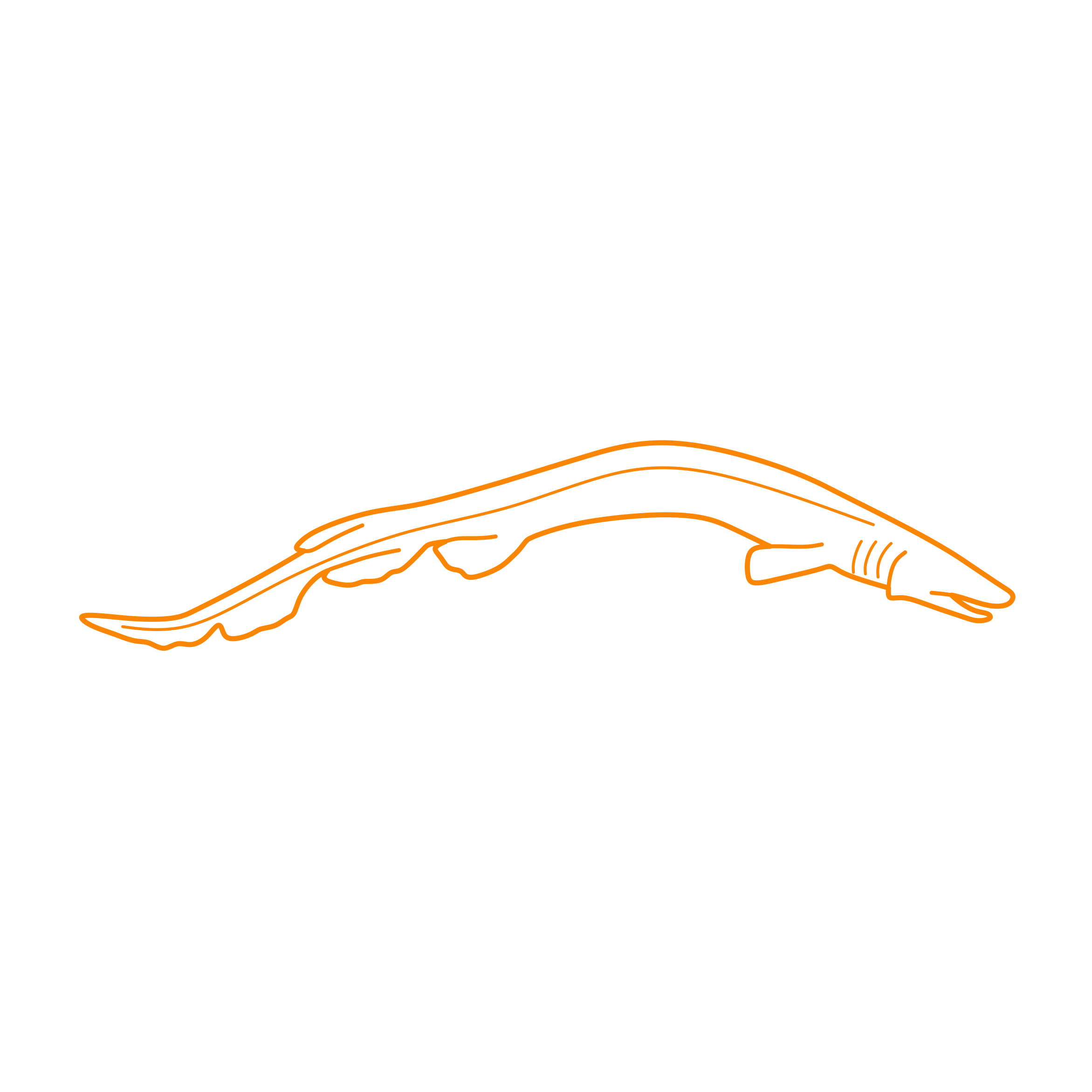 Animals Sharks Frilled Shark Tracing Svg Vector Free Vectors